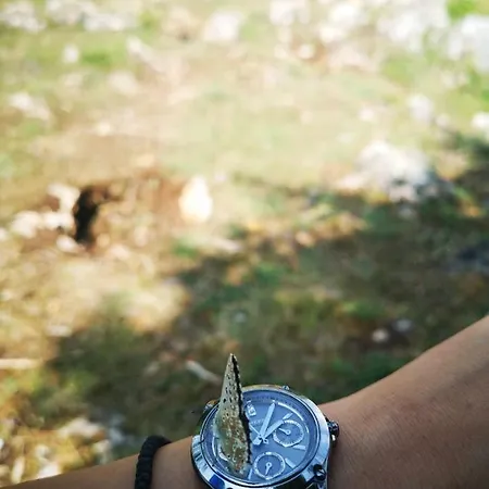 Zlatarske Brvnare Zlatar * Nova Varoš