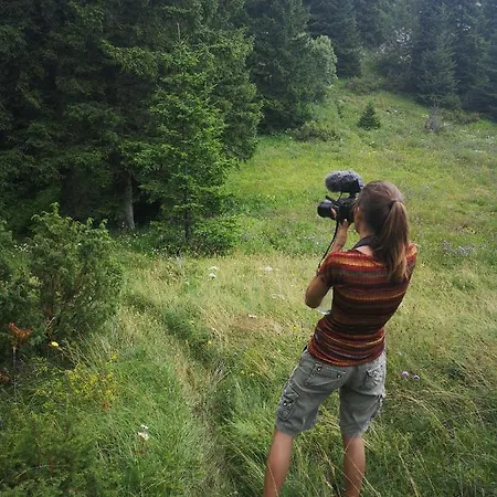 Zlatarske Brvnare Zlatar 샬레