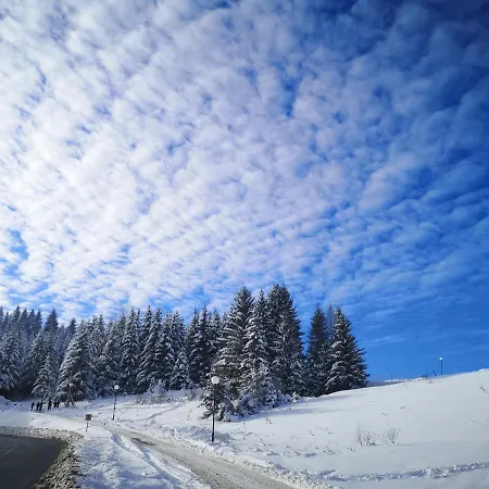 Zlatarske Brvnare Zlatar *