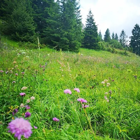 Chalet Zlatarske Brvnare Zlatar *